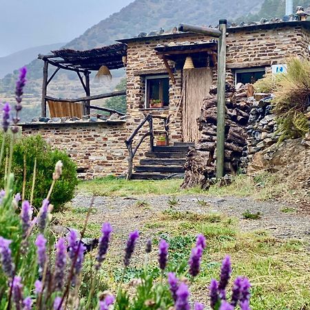 Casa Rural Cortijo Molino Altero Trevélez Dış mekan fotoğraf