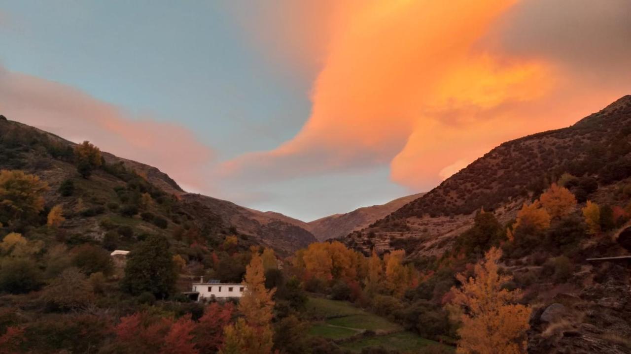 Casa Rural Cortijo Molino Altero Trevélez Dış mekan fotoğraf