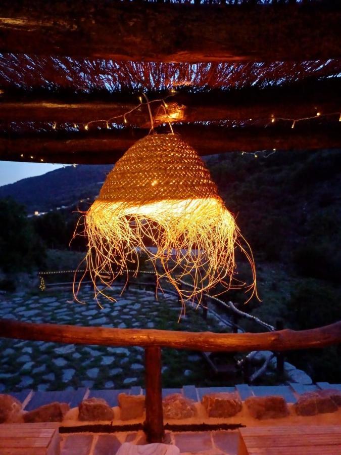 Casa Rural Cortijo Molino Altero Trevélez Dış mekan fotoğraf