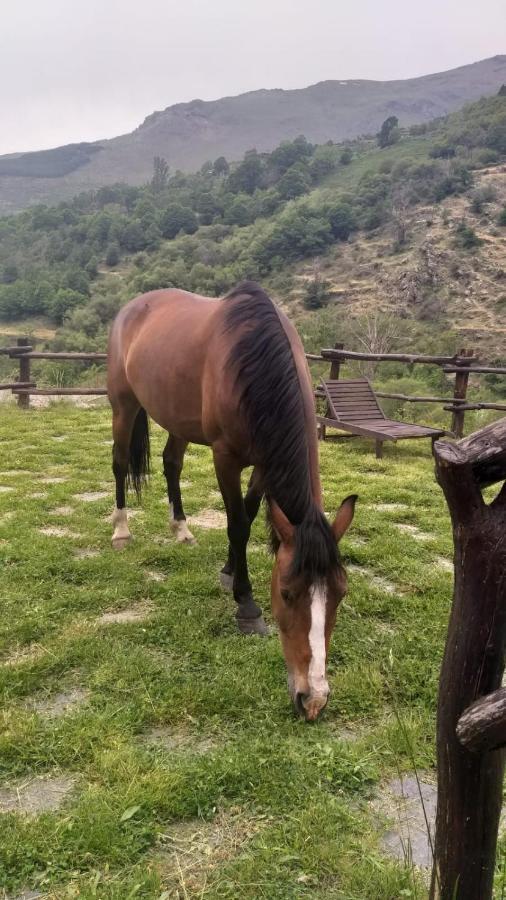 Casa Rural Cortijo Molino Altero Trevélez Dış mekan fotoğraf