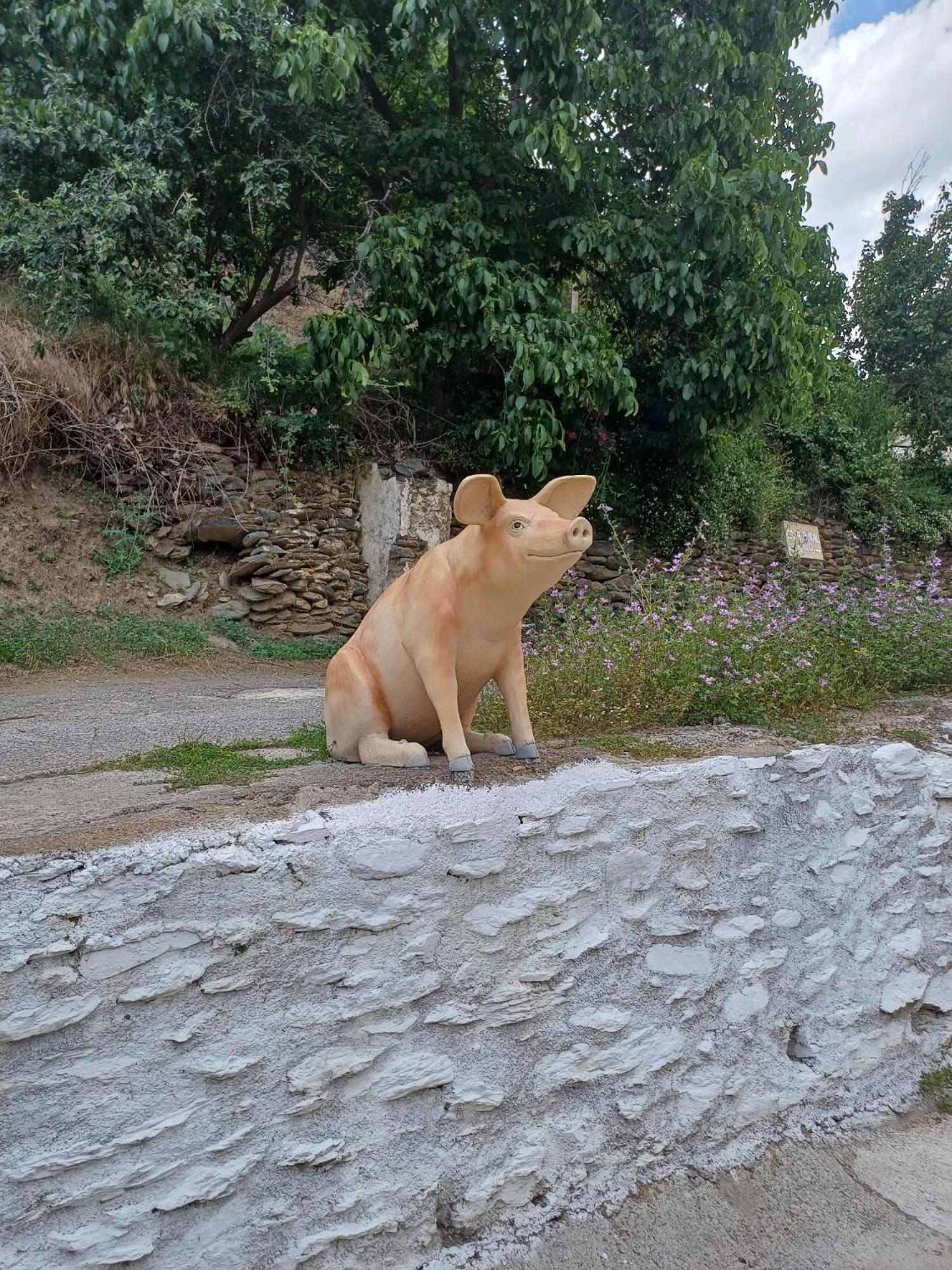 Casa Rural Cortijo Molino Altero Trevélez Dış mekan fotoğraf