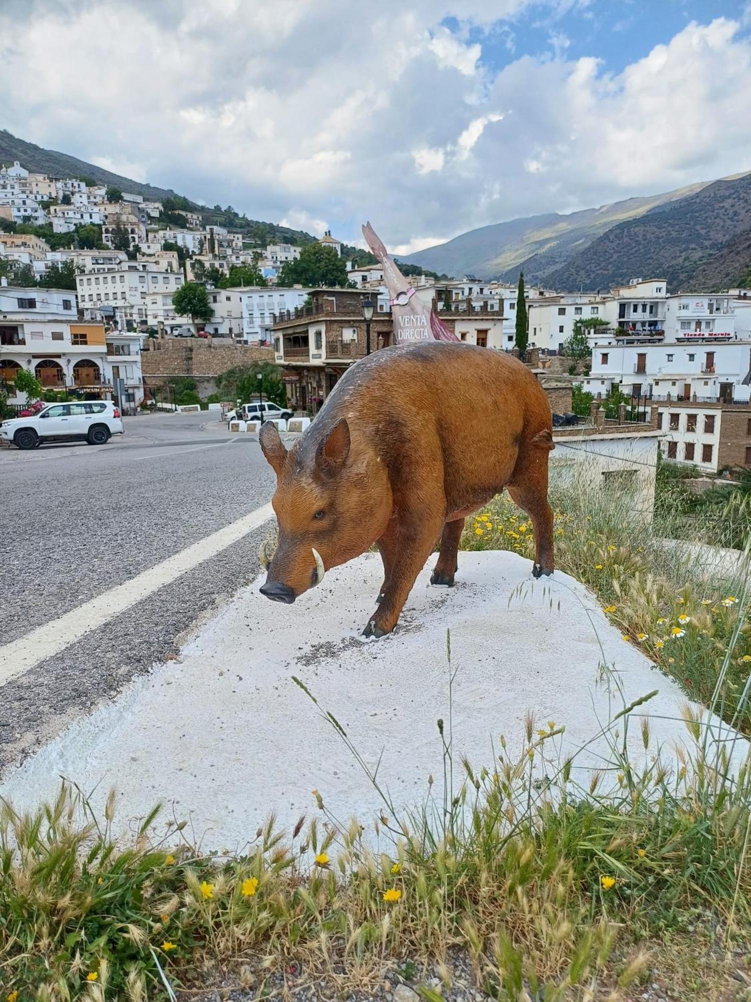 Casa Rural Cortijo Molino Altero Trevélez Dış mekan fotoğraf