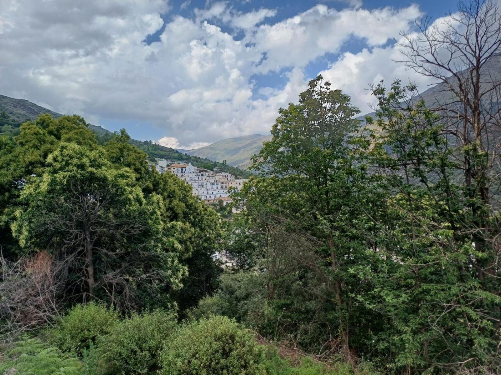Casa Rural Cortijo Molino Altero Trevélez Dış mekan fotoğraf