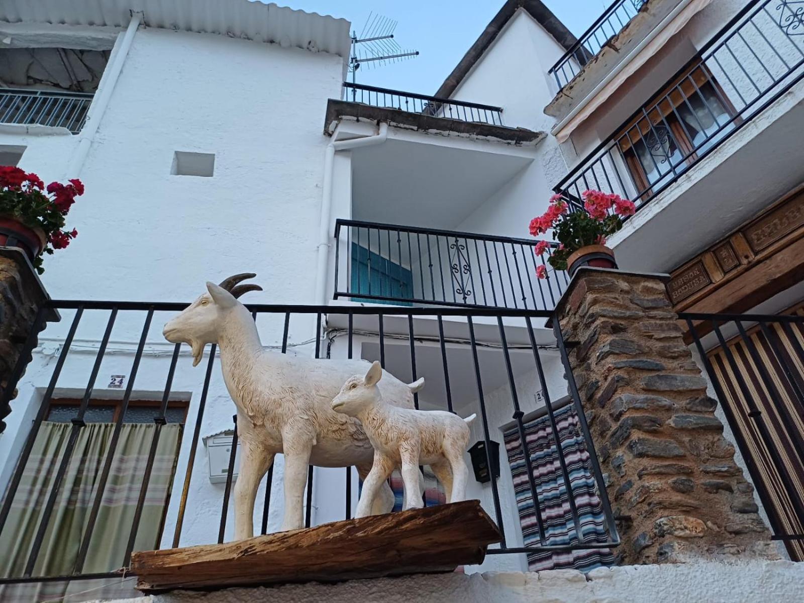 Casa Rural Cortijo Molino Altero Trevélez Dış mekan fotoğraf