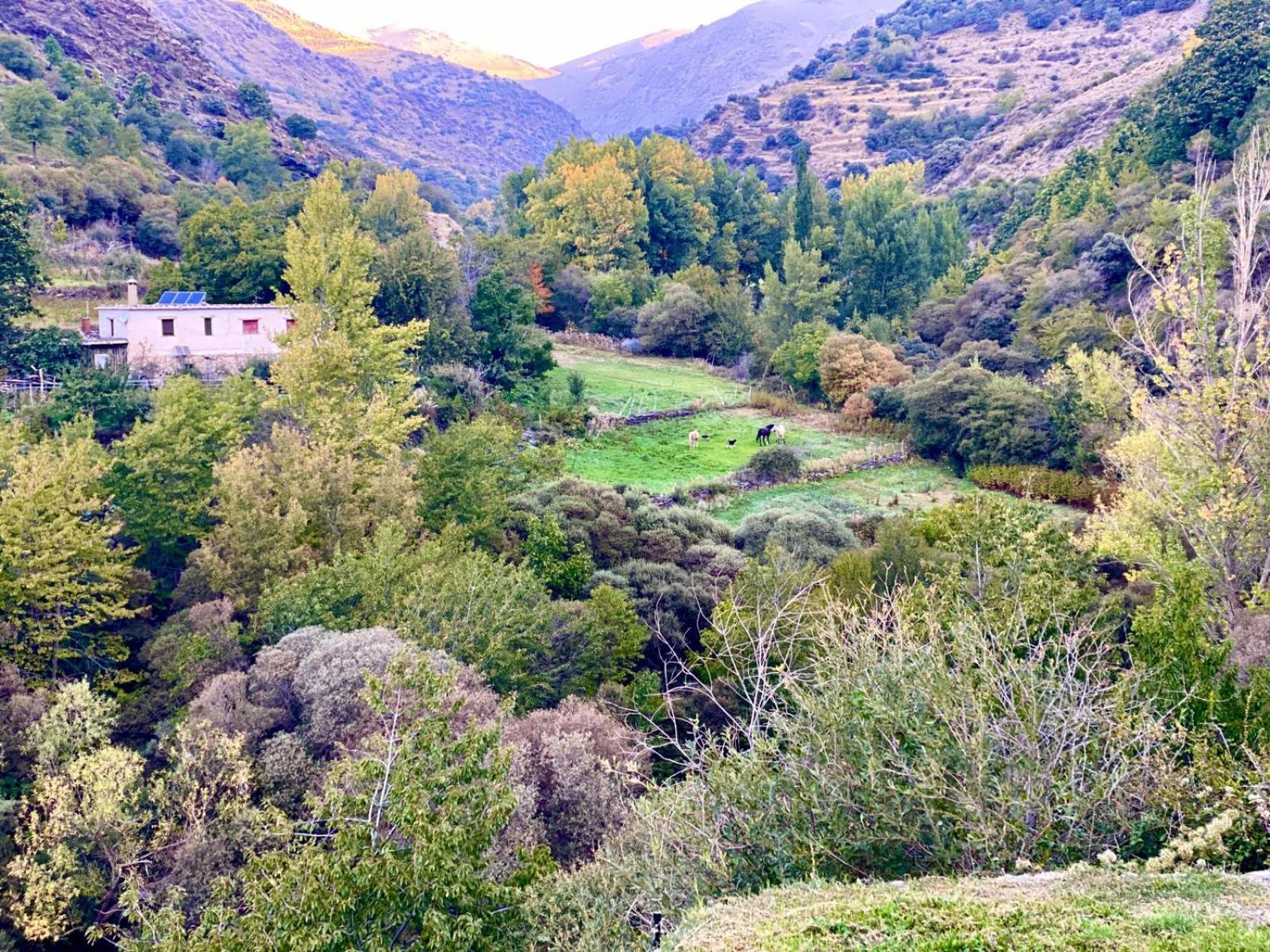 Casa Rural Cortijo Molino Altero Trevélez Dış mekan fotoğraf