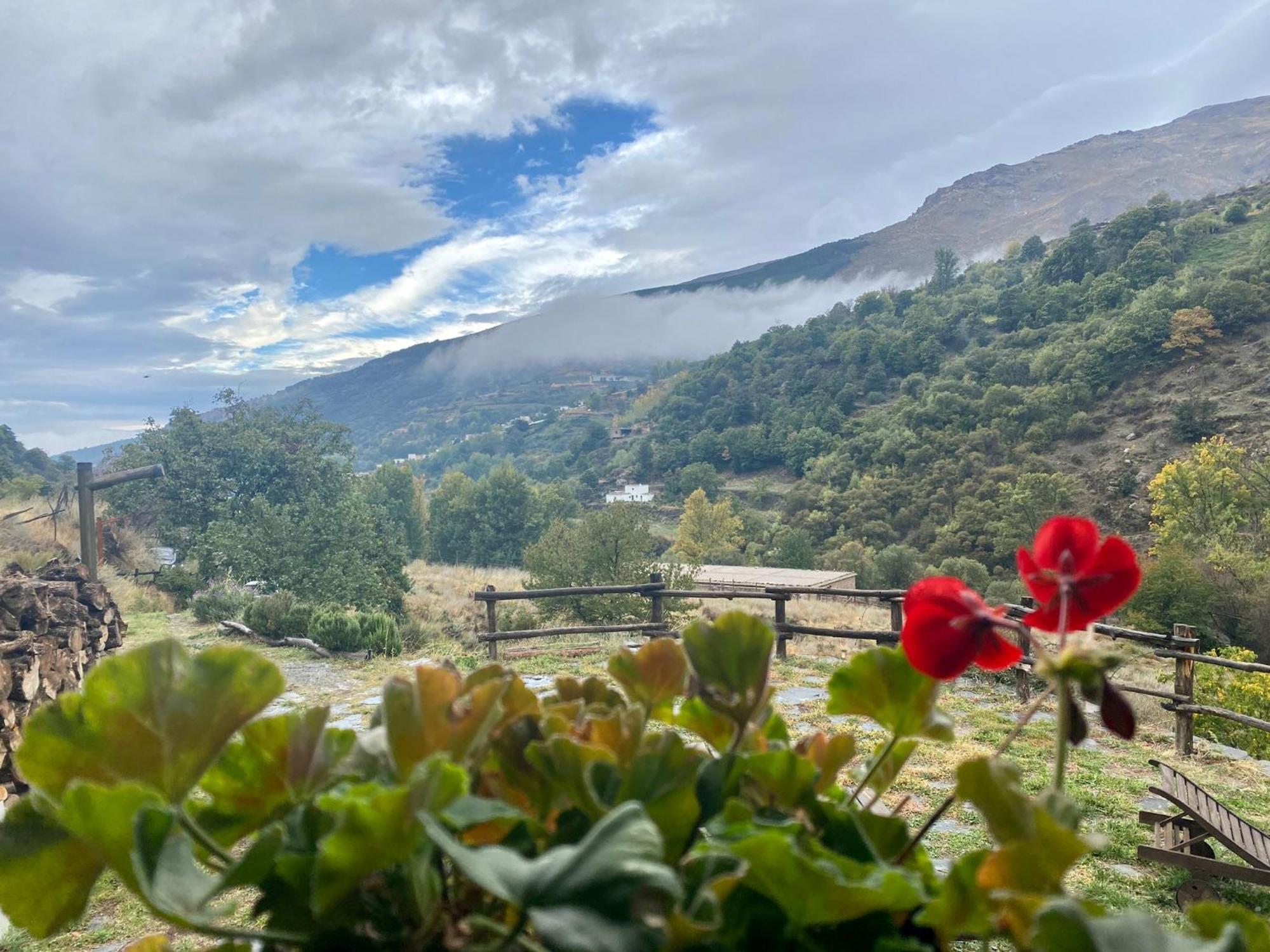 Casa Rural Cortijo Molino Altero Trevélez Dış mekan fotoğraf